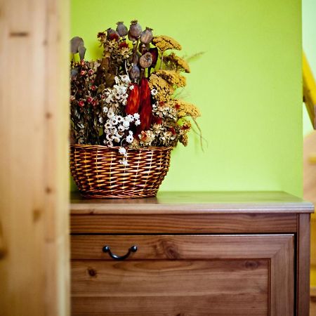 Hotel Penzion Tramky Vikyrovice Екстер'єр фото